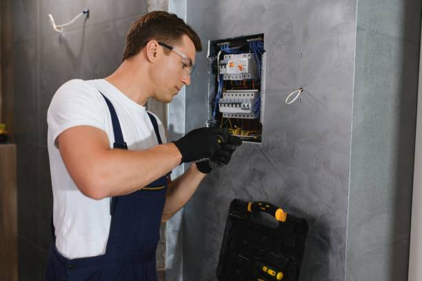 Best Electric Panel Repair  in Eau Claire, WI
